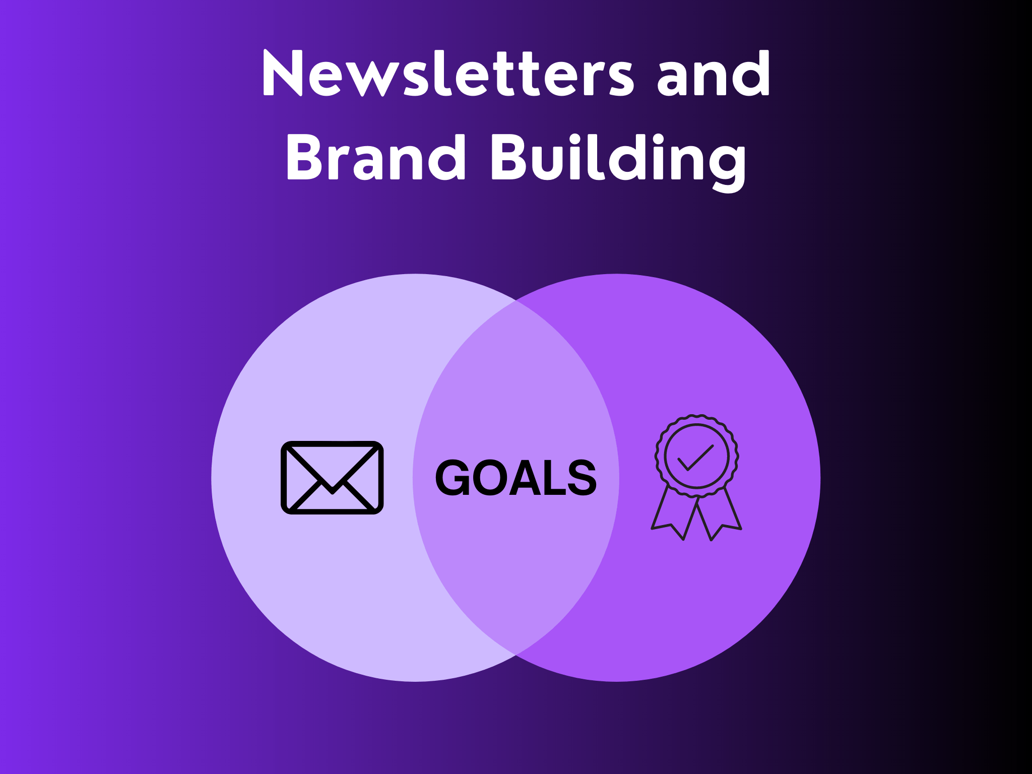 newsletter and brand building
